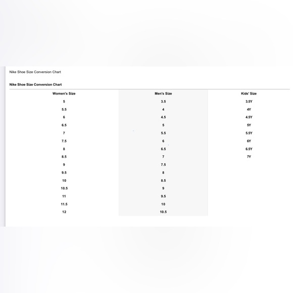 Nike Dunk Low GS ‘Reflective Grey’ Y6 - Picture 13 of 13